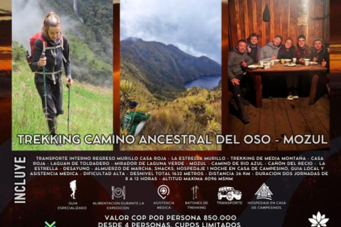 Paquetes turísticos 