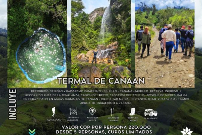 Paquetes turísticos 